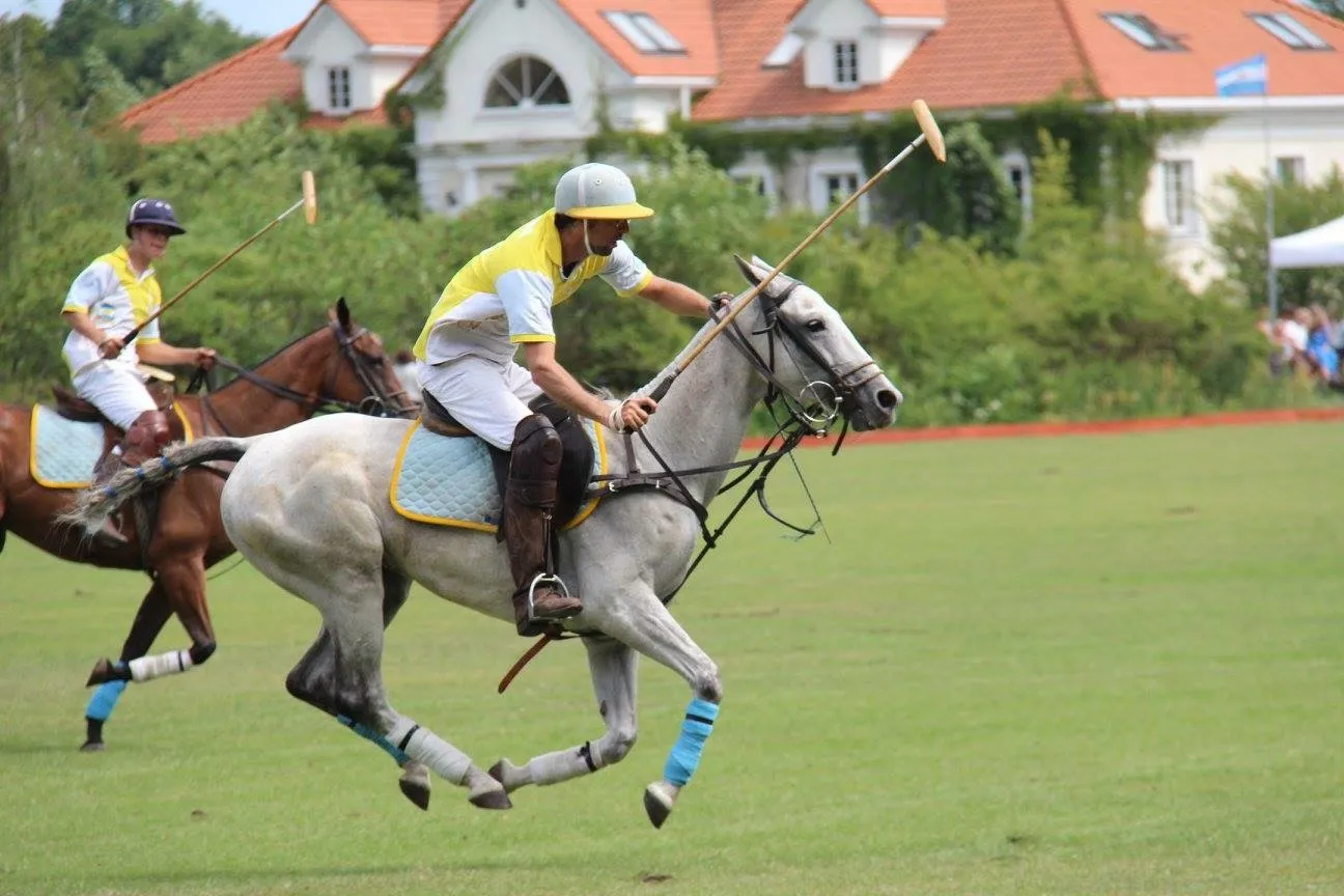 Buksza Polo Club