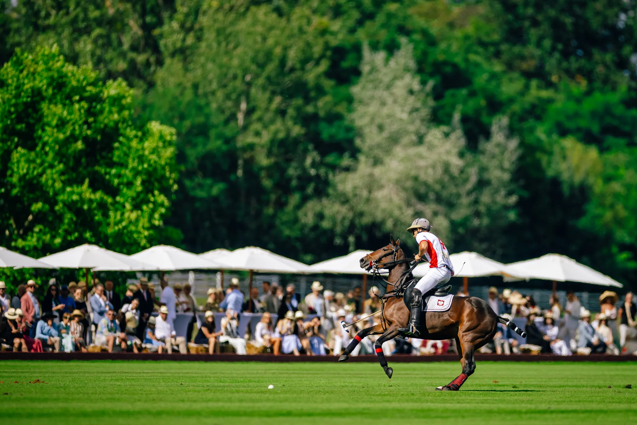 Polska kadra narodowa polo w akcji