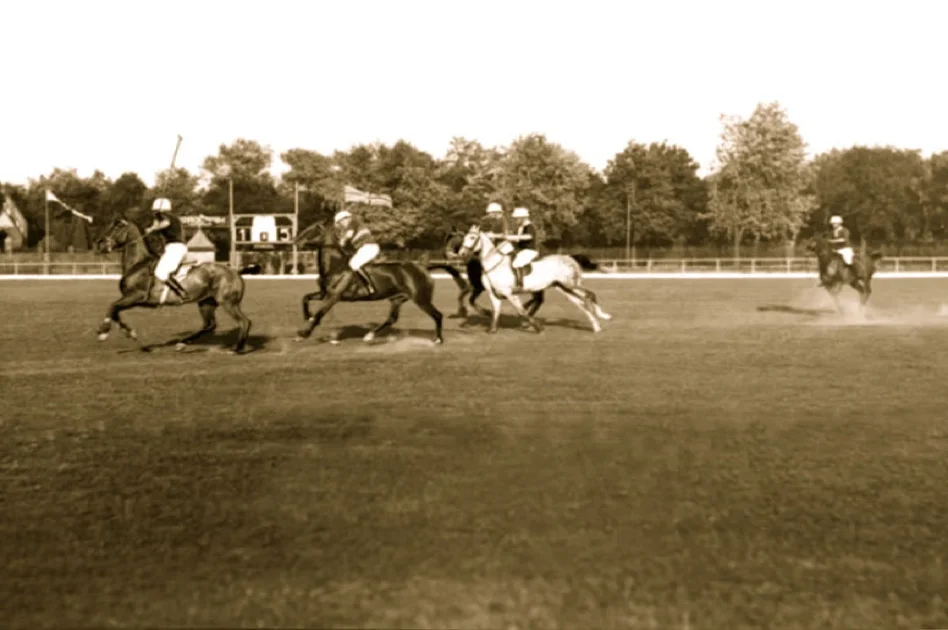 Historia polskiego polo