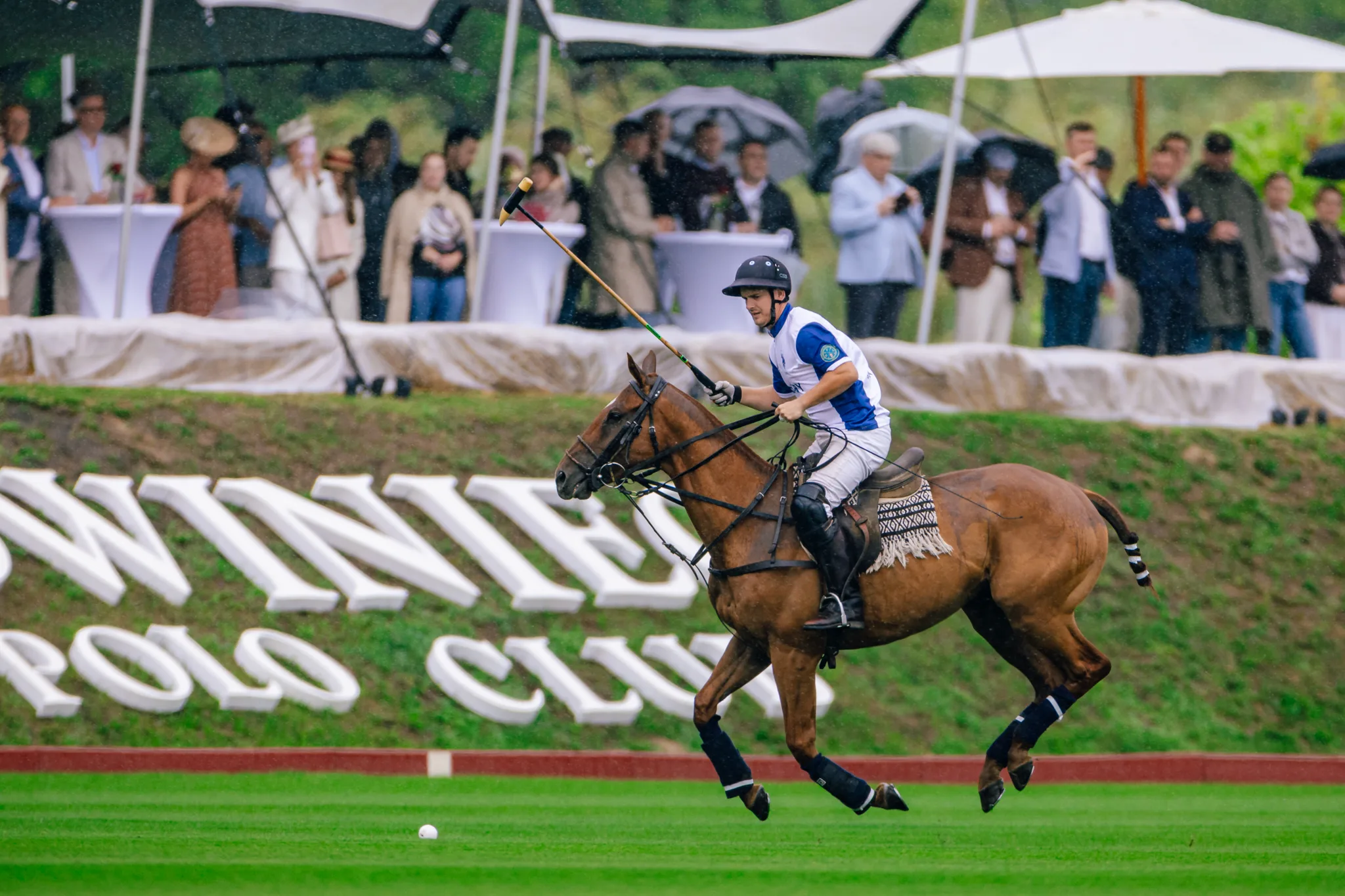 Dynamic action during a polo tournament in Poland